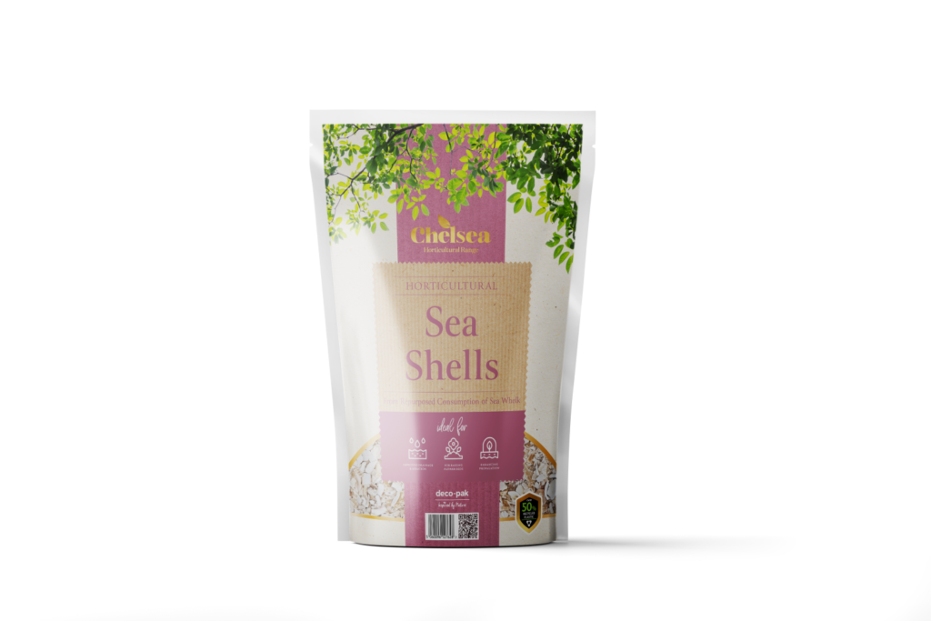 Sea Shells Deco Pak